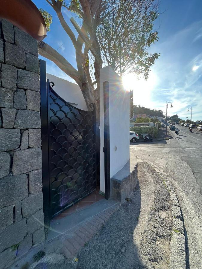Smeraldino Lacco Ameno  Dış mekan fotoğraf